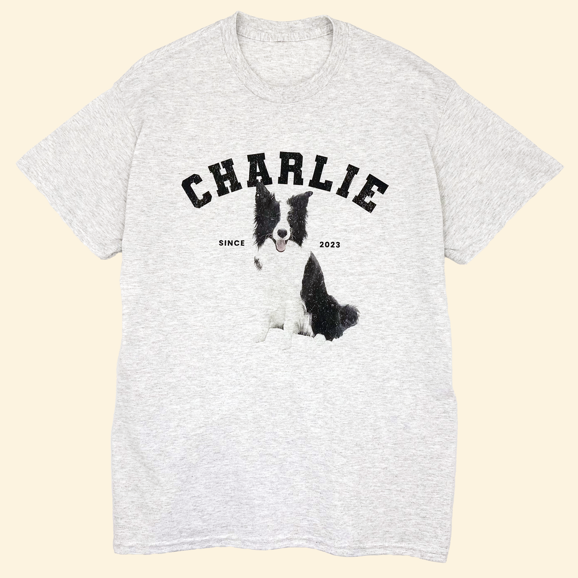 Custom Pet T Shirt - Varsity Team Typo