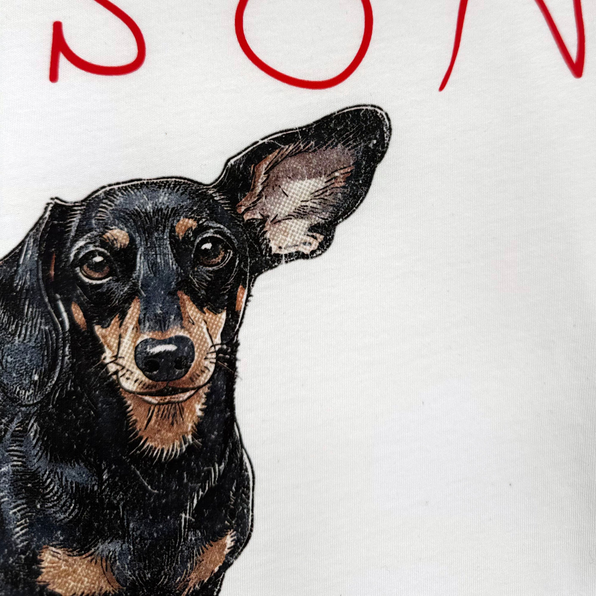 Custom Pet T Shirt - ChildWritten Typo