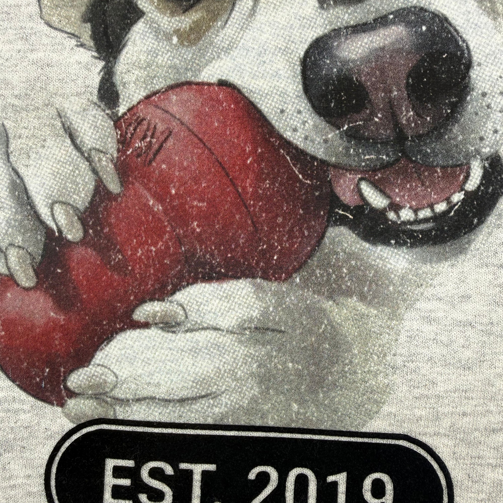 Custom Pet Sweatshirt - Academic M54 Typo