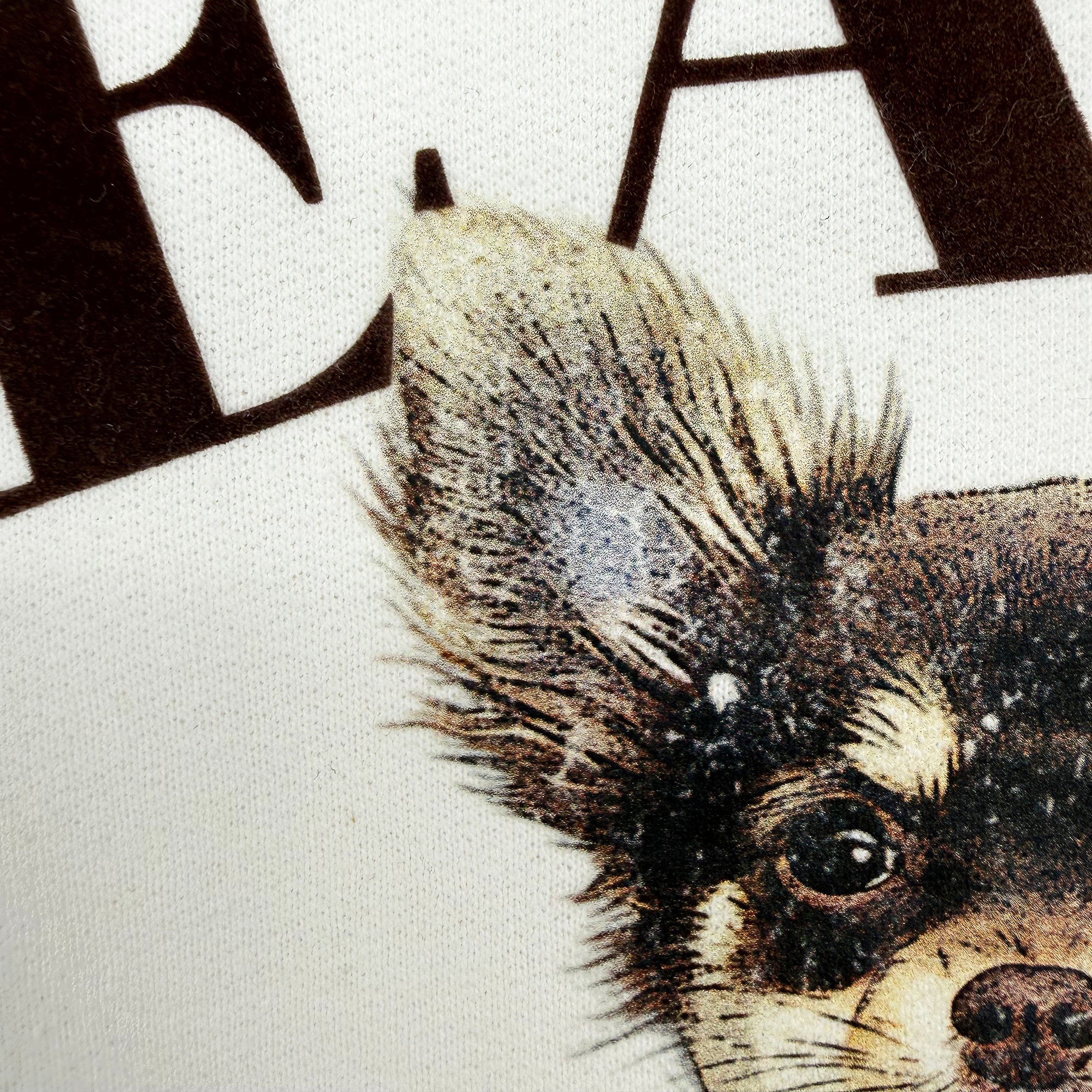 VINTAGE Pet Sweatshirt - PEANUT