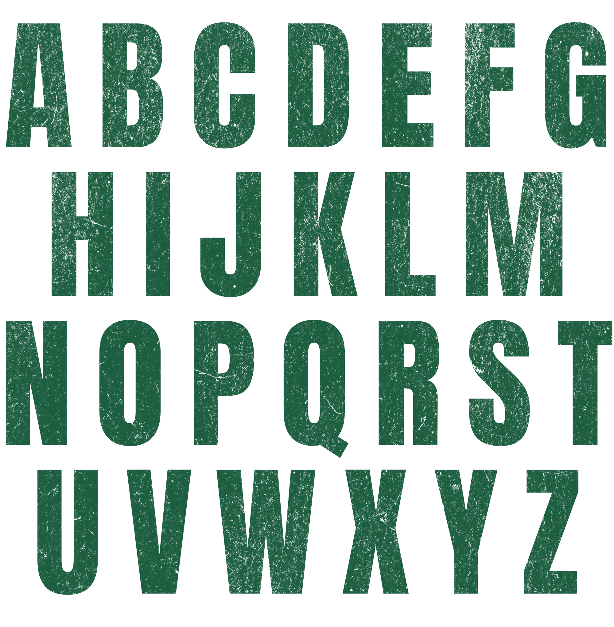 Custom Pet T Shirt - Anton Typo