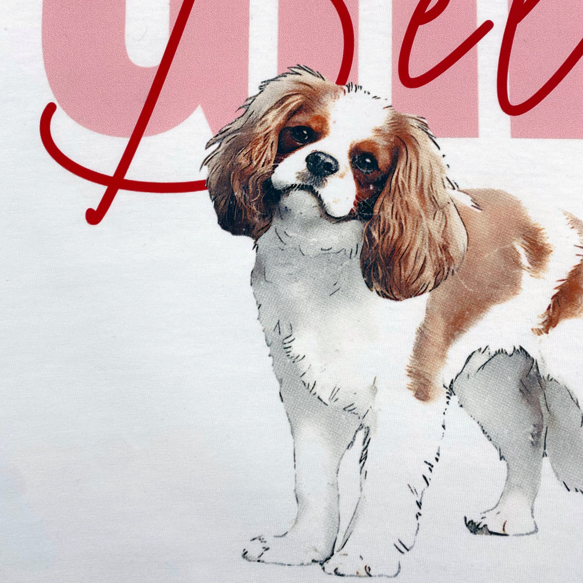 VINTAGE Pet T Shirt - Girl Bella